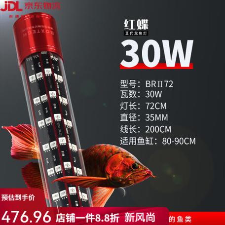 龙鱼一天开灯需要多少个小时