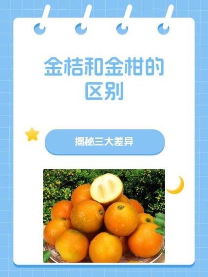 金桔花贷款怎么样游戏截图