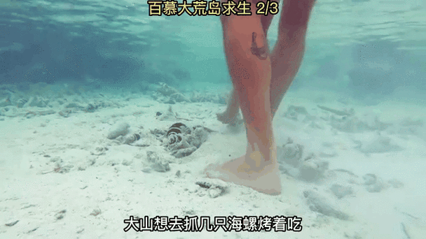 荒岛求生模拟器免广告版缩略图
