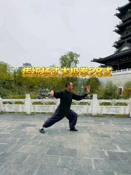 八十八式杨氏太极拳口令演示图标