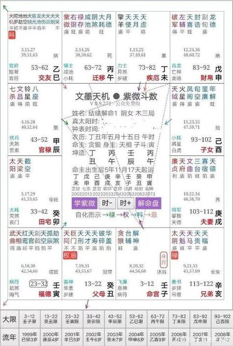 紫微排盘详解(免费版)缩略图