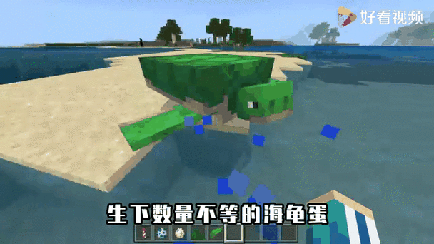 我的世界海龟蛋要多久孵化缩略图