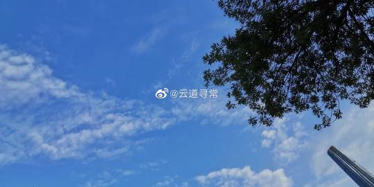 漫漫路2APP优势缩略图