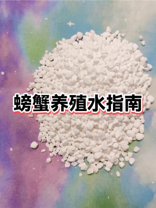 螃蟹可以养在鱼缸里吗游戏截图