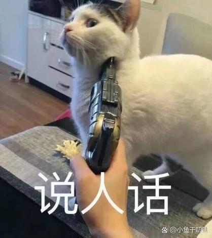 抖音热梗crush是什么意思图标