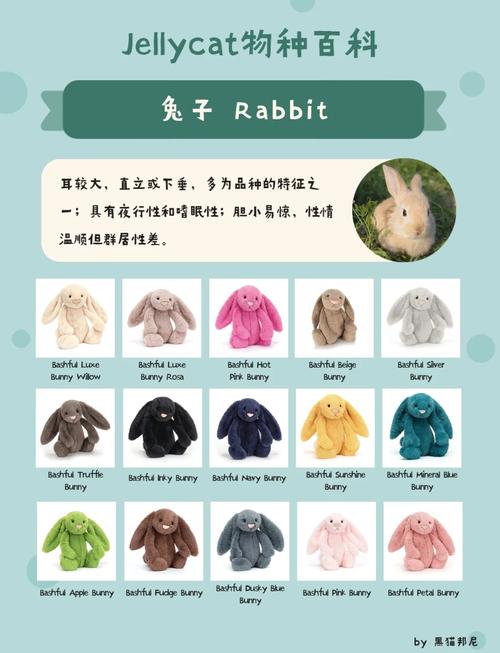 jellycat属于高奢吗