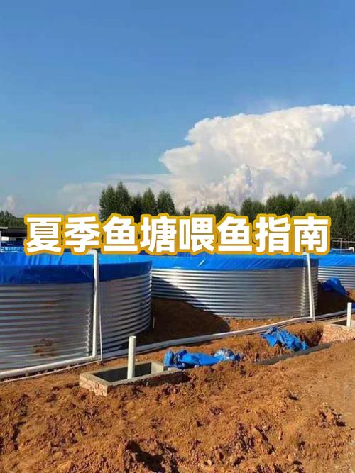 多长时间喂鱼一次图标