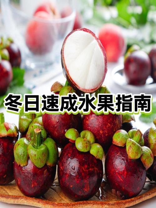冬季泄火的水果有什么游戏截图