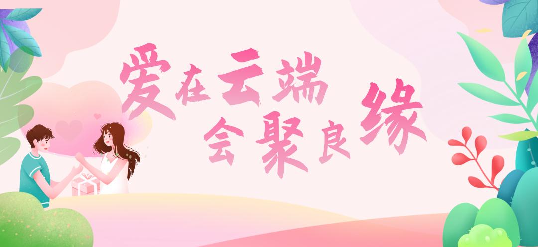 远程会议视频软件缩略图