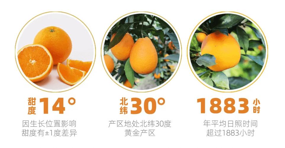 星球果园app赚钱下载