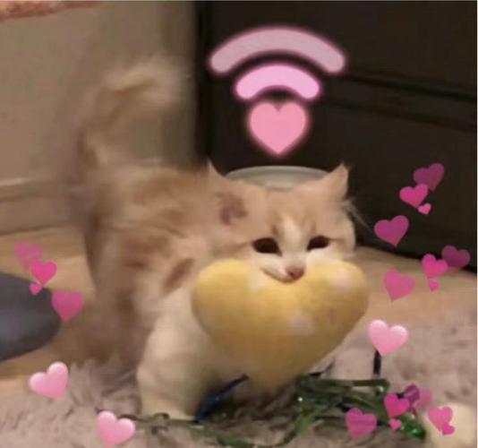 猫爱心表情包缩略图