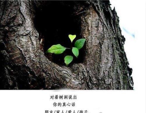 树洞app改名后叫什么缩略图