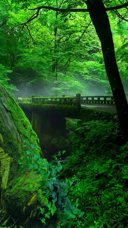 风景视频素材30秒缩略图
