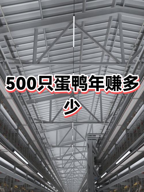 养鸭赚赚怎么提现游戏截图