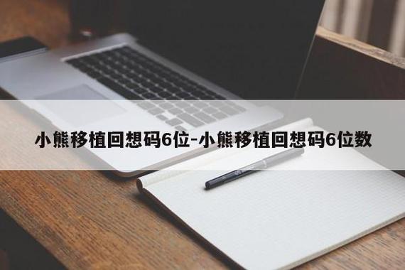 小熊移植回想码6位图标