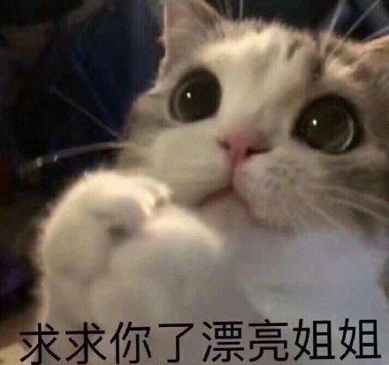 求求了表情包缩略图