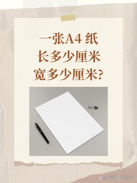 a4纸尺寸游戏截图
