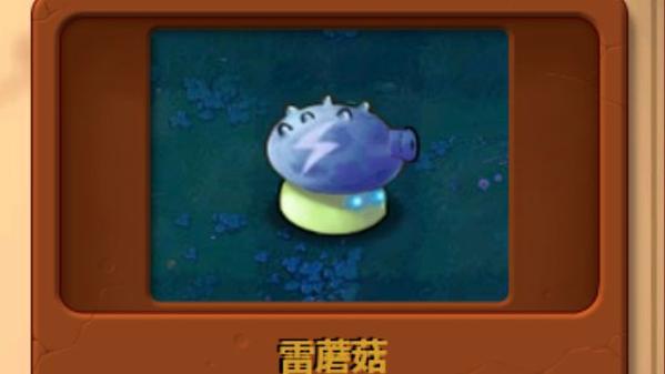 雷蘑菇植物大战僵尸缩略图