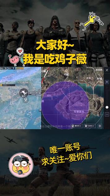 和平精英紫薇解说视频游戏截图