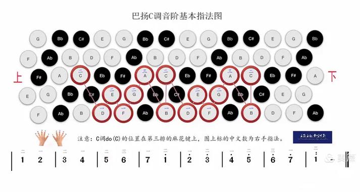 手风琴右手指法图解