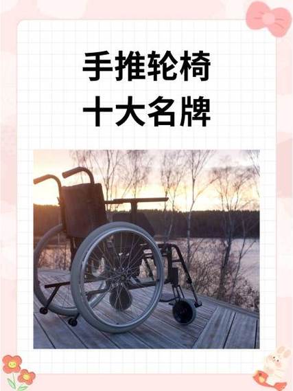 国产轮椅十大名牌排名图标