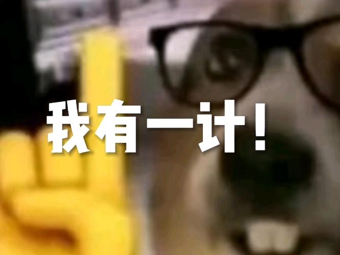 我有一计是什么网络梗图标