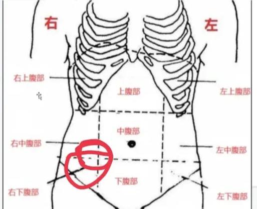 肚子右边疼是怎么回事缩略图