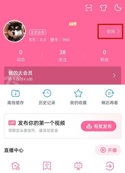 哔哩哔哩轻量版在哪里找缩略图