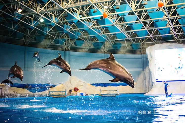 青岛海底世界和极地海洋世界缩略图