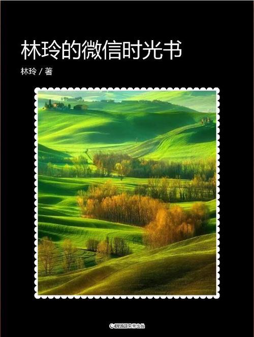延时拍摄视频的格式