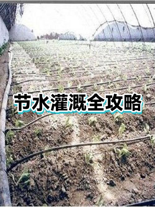 一格水最多能灌溉多少方田地截图