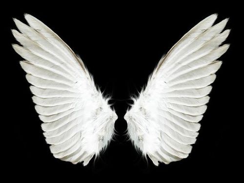 ᨳᤢᤣ゛翅膀恶魔特殊符号图标