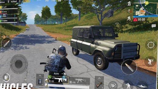  pubg蜂蜜柚子国体插件直装版使用方法缩略图