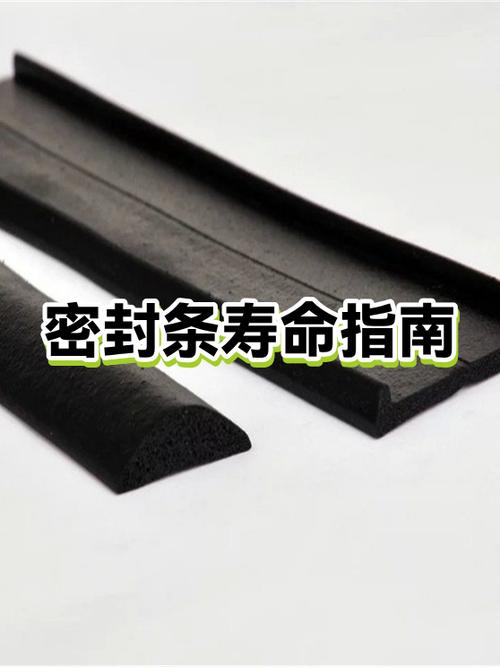 密封条一般寿命几年