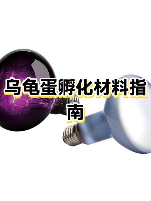 我的世界乌龟蛋怎么孵化缩略图