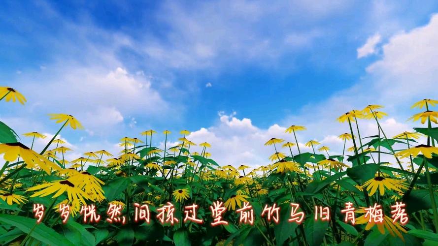 靖苏与君书缩略图