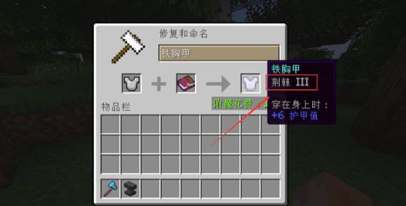 Minecraft荆棘英文图标