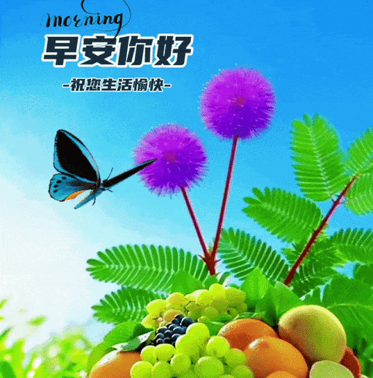 女生说感冒了高情商回复缩略图
