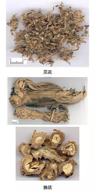 看脚足迹软件游戏截图