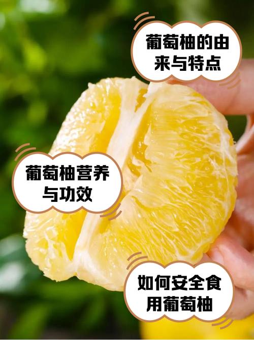 蜜柚1.1.3版本更新内容及注意事项分享缩略图