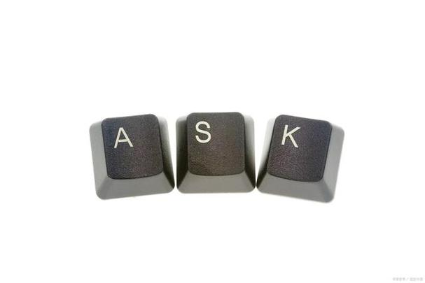 ask后面接什么