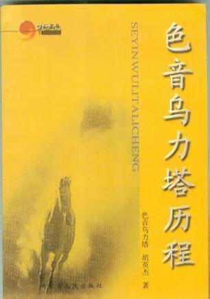 哪个颜色是音频输出