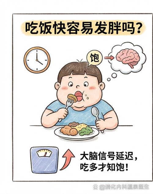 女人增肥最火幽默说说