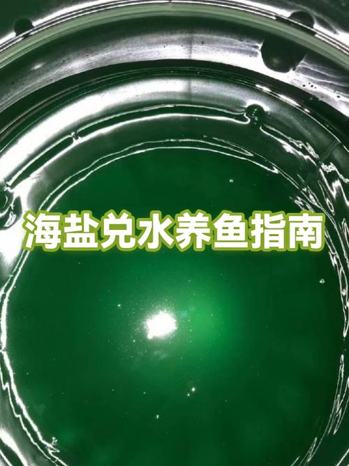 养鱼最好用什么水