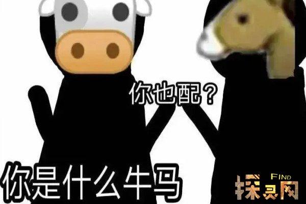 网络语牛马是什么意思