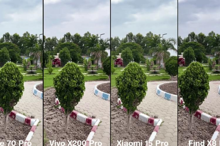 华为mate40pro拍照对比p50pro缩略图
