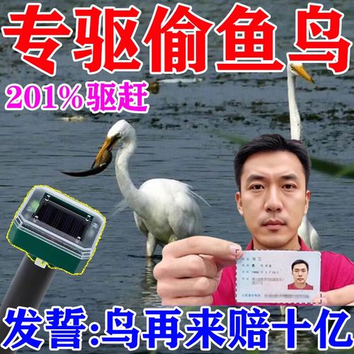 白鹭打包app