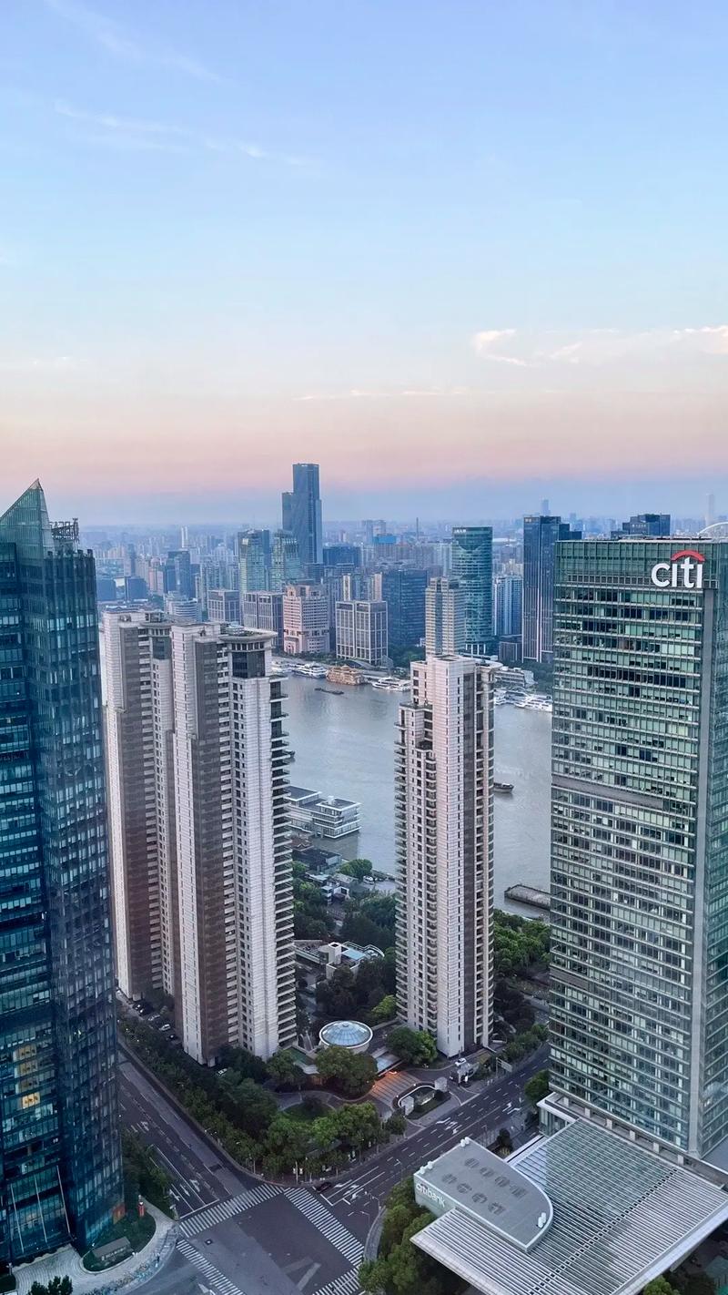陈六何沈轻舞都市狂枭笔趣阁缩略图