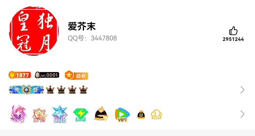 qq铭牌怎么弄最高段位