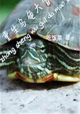 主角重生是一只乌龟图标